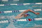 Swim vs Bentley  Wheaton College Swimming & Diving vs Bentley University. - Photo by Keith Nordstrom : Wheaton, Swimming & Diving